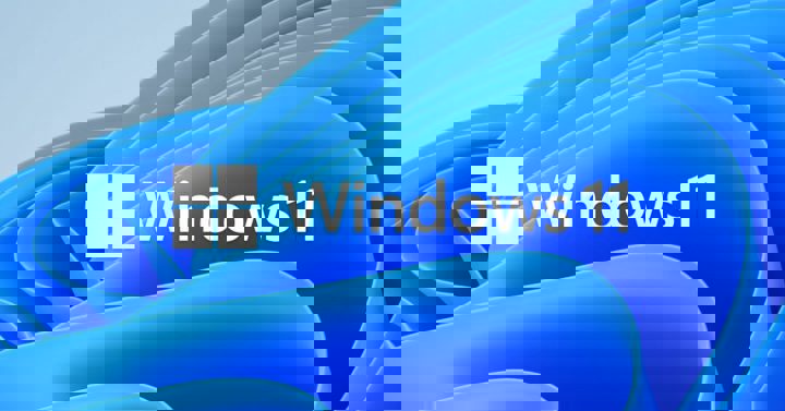 Win11bloom